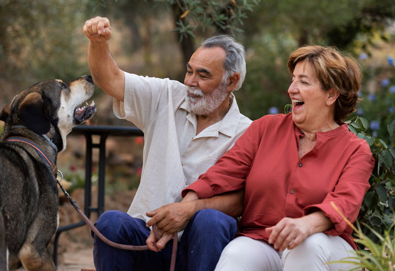 Ways to Help the Elderly Recover From Stroke
